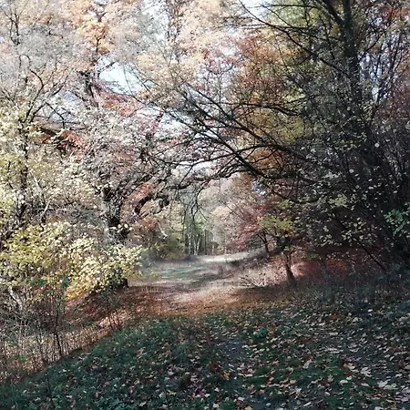 Ferienwohnung-villa-grosser-bleek