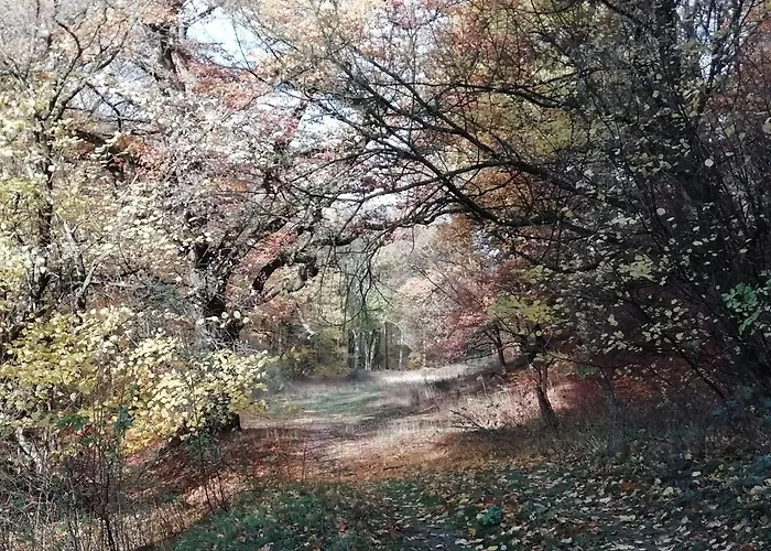Ferienwohnung-villa-grosser-bleek