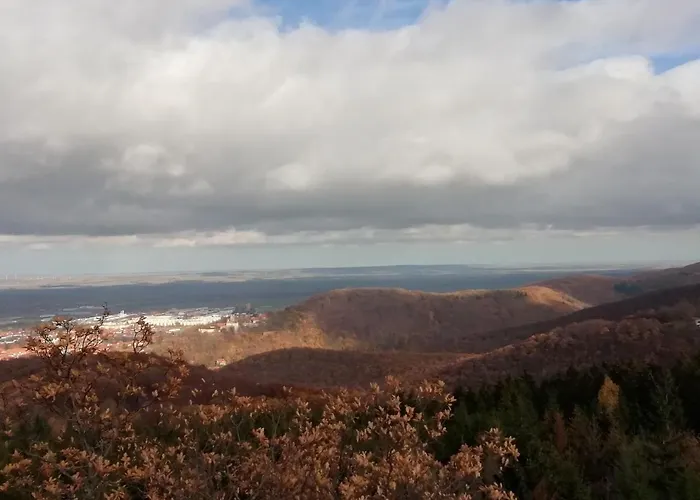 Ferienwohnung-villa-grosser-bleek Apartment